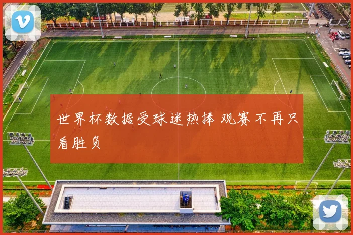 世界杯数据受球迷热捧 观赛不再只看胜负