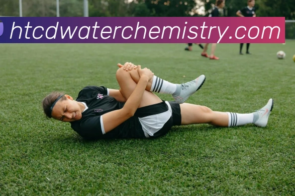 买球官方平台生态图